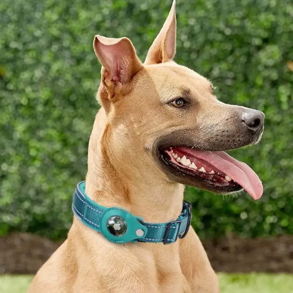 NWT dog collar blue Apple AirTag tracker reflective padded nylon medium B182
